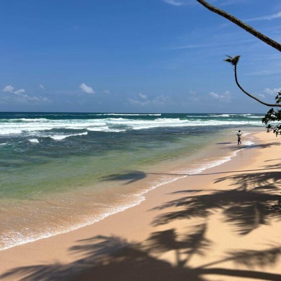 Sri Lanka Beach Coast